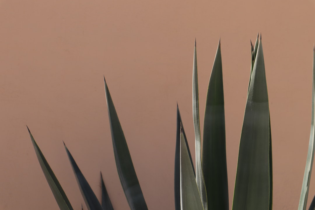 Medio ambiente imagen 2